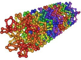 Համալիր կոլագենի